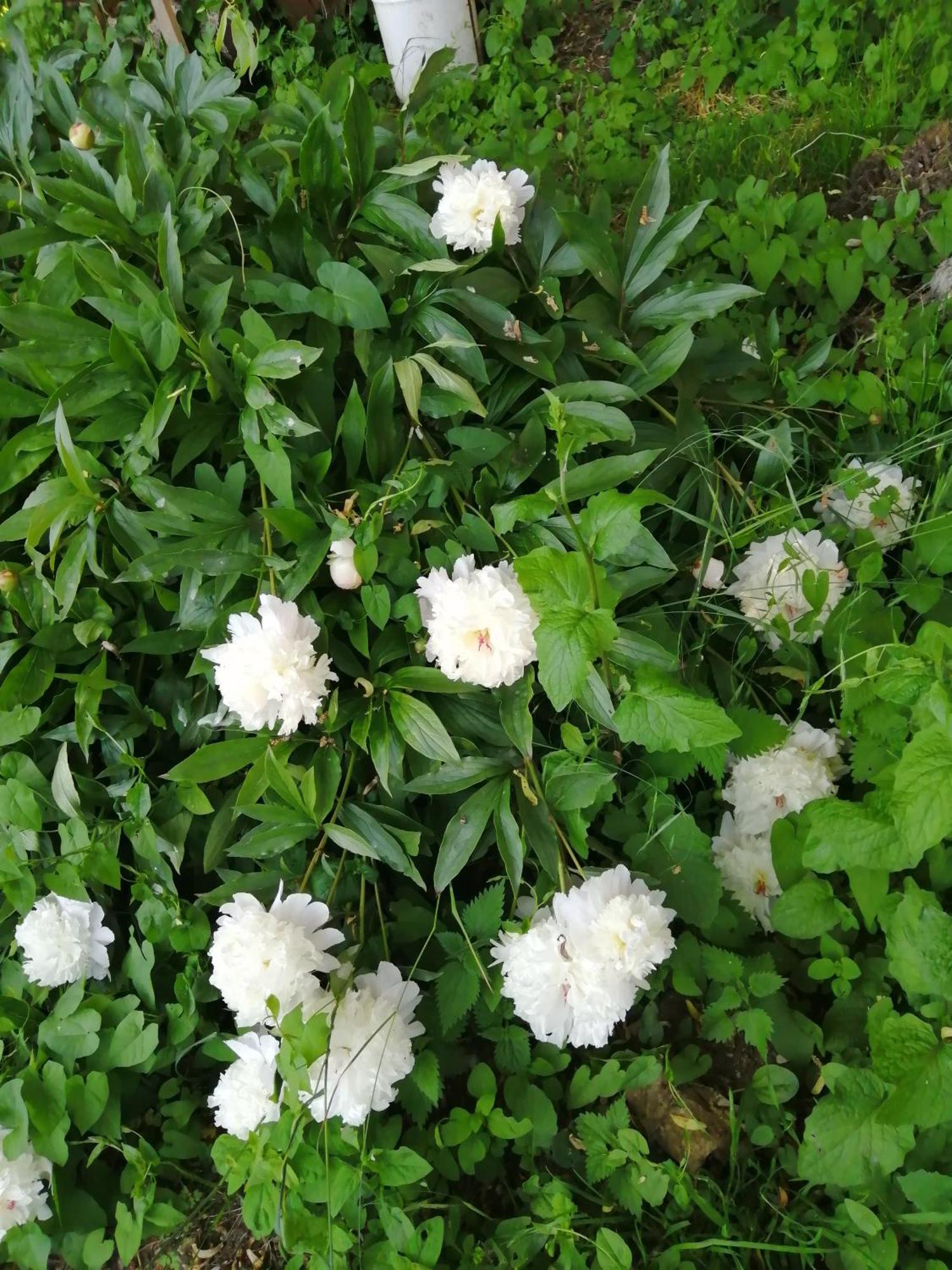 Вилла O Jardin De Boutancourt Экстерьер фото