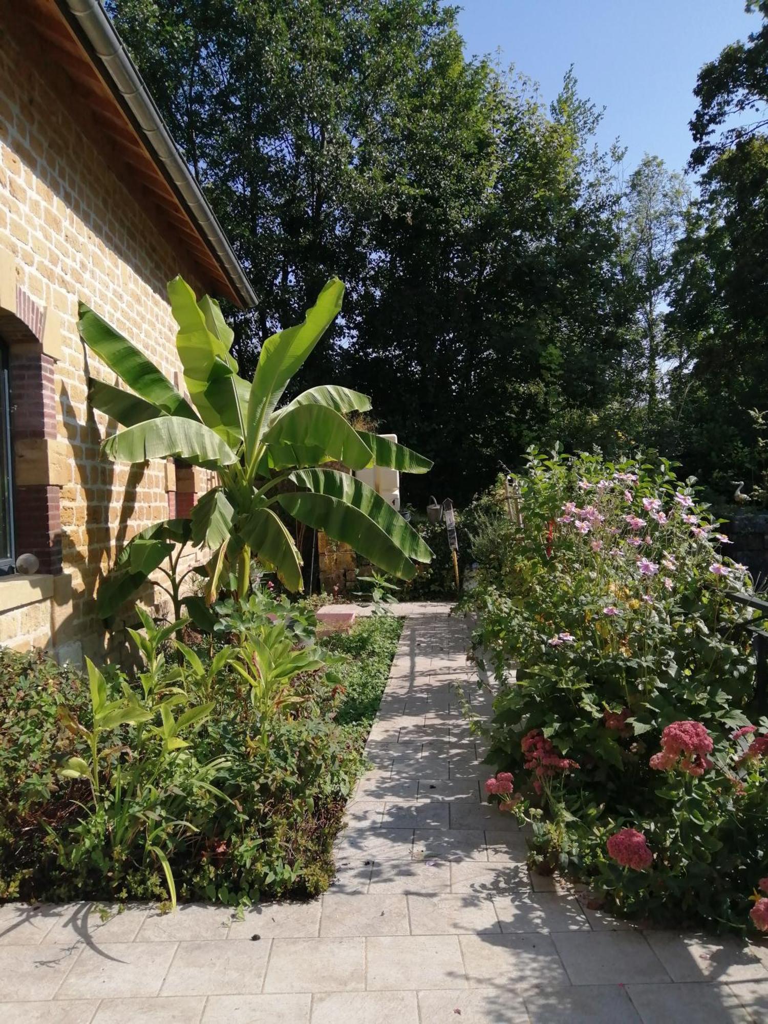 Вилла O Jardin De Boutancourt Экстерьер фото